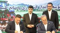 توسعه دانش کشاورزی با بهره‌گیری از ظرفیت تشکل‌ها و شبکه ترویج